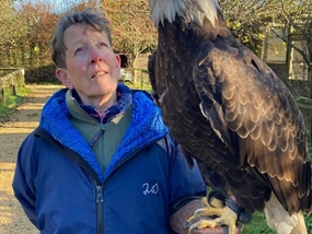 Customer Photo of Falconry in Dorchester